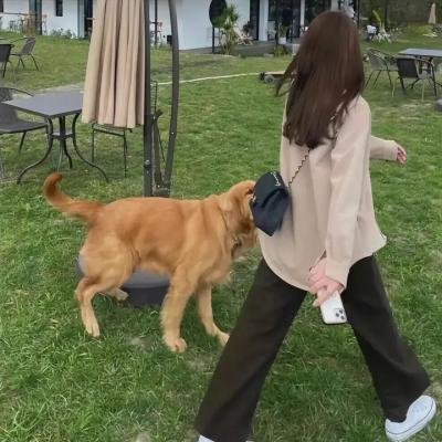 陌路姐妹淘